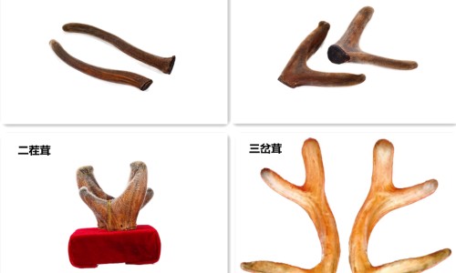 医药百令胶囊-百令70粒36元钱是真药吗专区_百令片杭州中美华东图片专区_杭州产百令药价格网